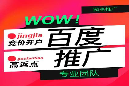 百度推广代运营公司案例：创意广告设计助力品牌崛起